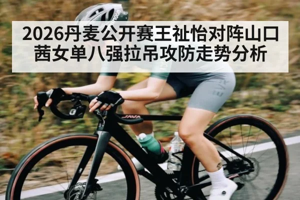 2026丹麦公开赛王祉怡对阵山口茜女单八强拉吊攻防走势分析